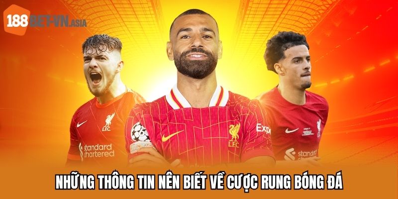 Cược Rung Bóng Đá - Kèo Hấp Dẫn Anh Em Nên Trải Nghiệm 5 Những thông tin nên biết về cược rung bóng đá
