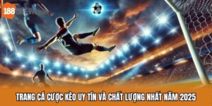 trang cá cược kèo uy tín